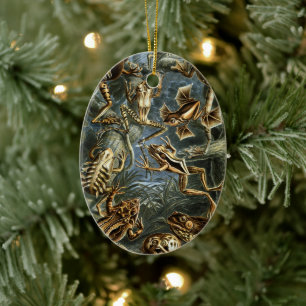 Vintage Padden en Kikkers Batrachia door Ernst Hae Keramisch Ornament