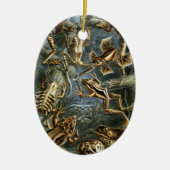 Vintage Padden en Kikkers Batrachia door Ernst Hae Keramisch Ornament (Voorkant)