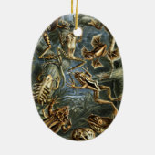 Vintage Padden en Kikkers Batrachia door Ernst Hae Keramisch Ornament (Achterkant)