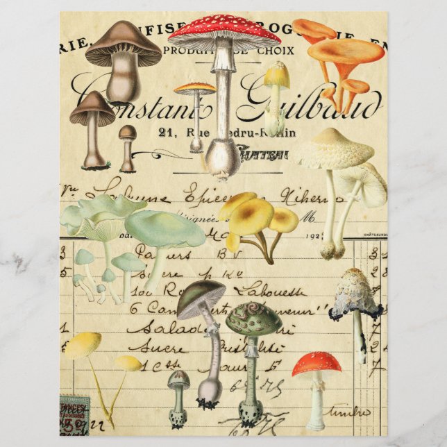Vintage Paddenstoel Schimmel Collage Vel  (Voorkant)
