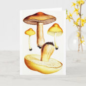 Vintage paddenstoelen kaart (Gele Bloem)