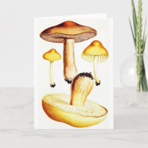 Vintage paddenstoelen kaart