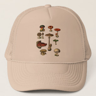 Vintage paddenstoelen Pet