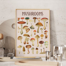 Vintage Paddenstoelenkaart Muur Kunst