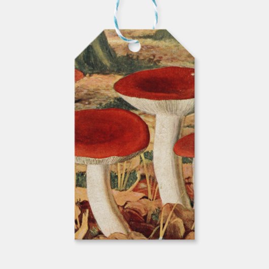 Vintage Paddestoelen Scrapbook  Cadeautags Cadeaulabel (Voorkant)