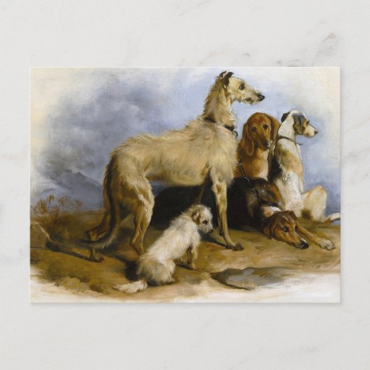 Vintage painting of five cute dogs briefkaart (Voorkant)