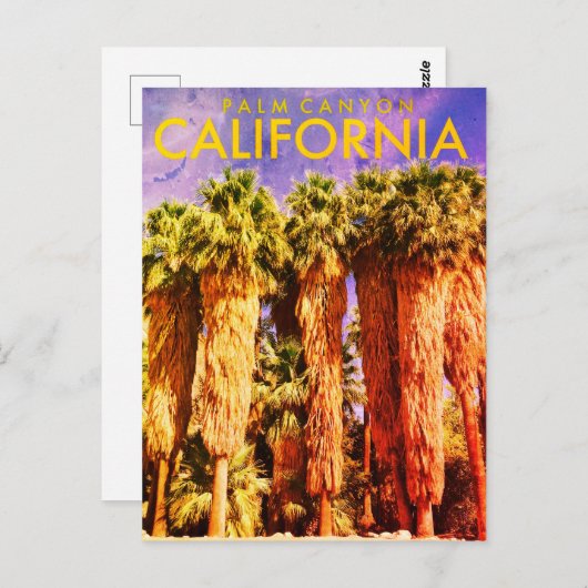 Vintage Palm Canyon Travel Briefkaart (Voorkant / Achterkant)