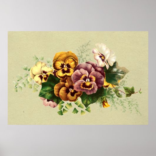 Vintage Pansies Bouquet Poster (Voorkant)