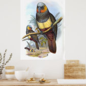Vintage papegaai vogel poster (Keuken)