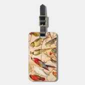 Vintage Parrot Cockato Conure Paraket Cockatiel Bagagelabel (Voorkant verticaal)