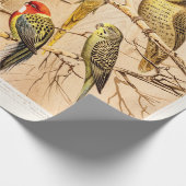 Vintage Parrot Cockato Conure Paraket Cockatiel Cadeaupapier (Hoek)