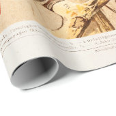 Vintage Parrot Cockato Conure Paraket Cockatiel Cadeaupapier (Rol Hoek)