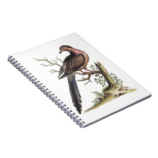 Vintage Passenger Pigeon Illustration  Notitieboek