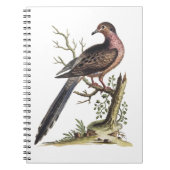 Vintage Passenger Pigeon Illustration  Notitieboek (Voorkant)