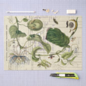 Vintage Passionflower Frans script botanisch Tissuepapier (Craft)