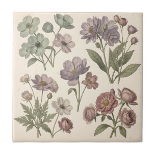 Vintage Pastel Anemonen Rozen Zachte Botanische Tegeltje