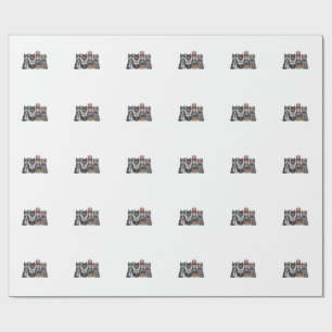 Vintage Patriottische Katten USA Shirt Ontwerp_1 Cadeaupapier