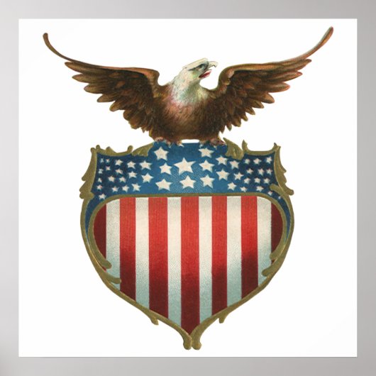 Vintage Patriottisme, Trots Adelaar boven Amerikaa Poster (Voorkant)