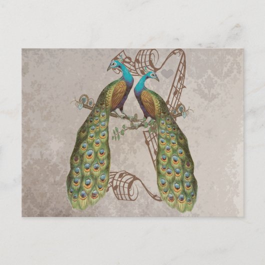 Vintage Pauw Grunge Damast Liefdesvogels Briefkaart (Voorkant)