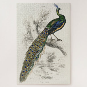 Vintage Pauw Kunst Legpuzzel Moeilijk 1000 Stukjes