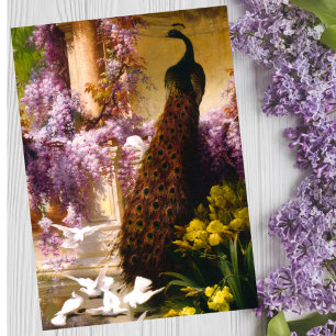 Vintage Pauwentuin Kunstwerk Romantische Wisteri Briefkaart