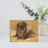 Vintage Pekingeses Briefkaart (Staand voorkant)