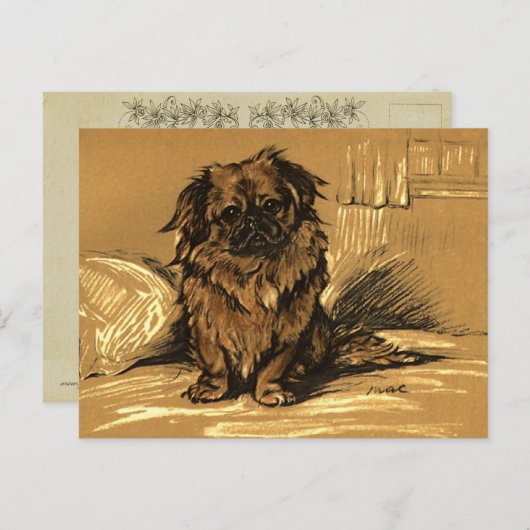 Vintage Pekingeses Briefkaart (Voorkant / Achterkant)
