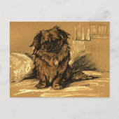 Vintage Pekingeses Briefkaart (Voorkant)
