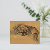 Vintage Pekingeses Puppy Briefkaart (Staand voorkant)