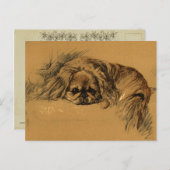 Vintage Pekingeses Puppy Briefkaart (Voorkant / Achterkant)