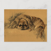 Vintage Pekingeses Puppy Briefkaart (Voorkant)