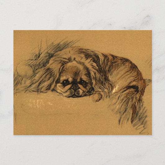 Vintage Pekingeses Puppy Briefkaart (Voorkant)