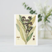 Vintage peper recept voor briefkaart (Staand voorkant)