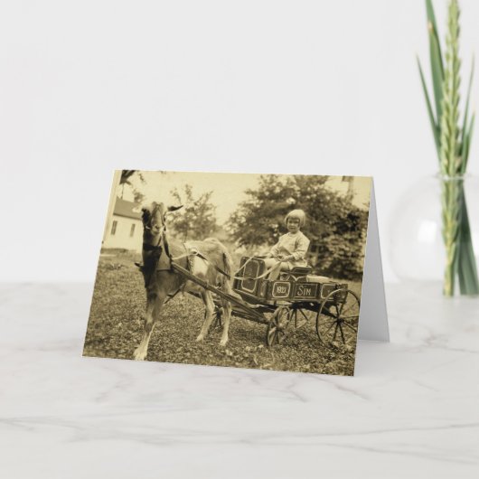 Vintage Photo- "Goat Cart" Greeting Card Kaart (Voorkant)