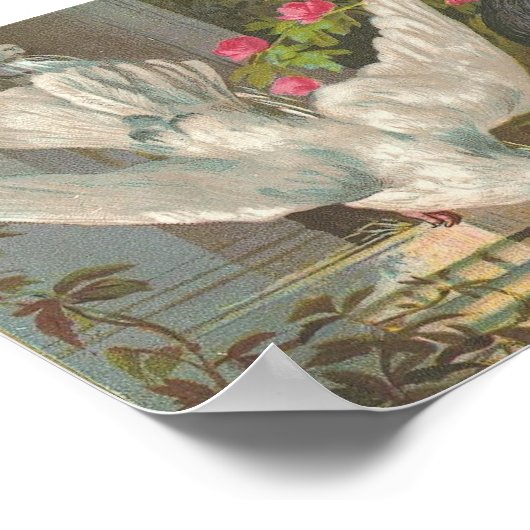 Vintage Pigeons Poster (Hoek)