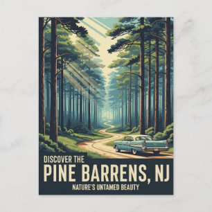 Vintage Pine Barrens New Jersey Reis Briefkaart