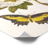 Vintage Pink Peony Flower, Floral Illustration Poster (Hoek)