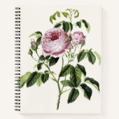 Vintage Pink Rose Timeless Notitieboek (Voorkant)