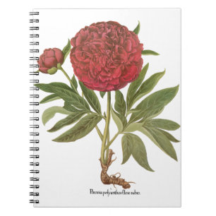 Vintage Pioenrozen, Pioenbloemen door Basilius Bes Notitieboek