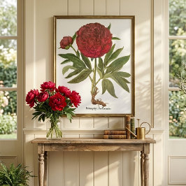 Vintage Pioenrozen, Pioenbloemen door Basilius Bes Poster