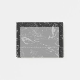 Vintage Pisces Constellation Hevelius Engraving Post-it® Notes