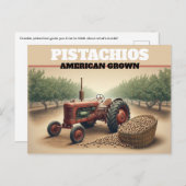 Vintage Pistachio Farming Briefkaart (Voorkant / Achterkant)