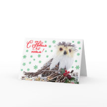 Vintage Plattelander van de Uil van het Nieuwjaar