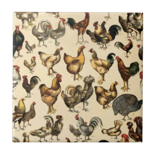 Vintage Pluimvee van de Wereld Kippenras Kunst Tegeltje