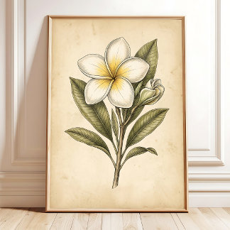 Vintage Plumeria Bloemstukken Muurkunst Poster