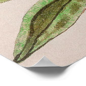 Vintage Pomegranaat door Anselmus de Boodt Poster (Hoek)