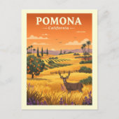 Vintage Pomona California Briefkaart (Voorkant)
