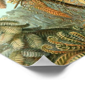 Vintage Poster (Hoek)