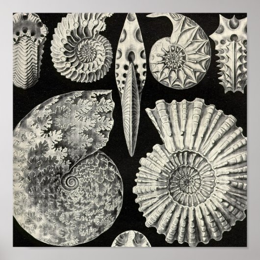 Vintage Poster (Voorkant)