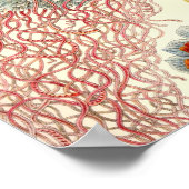 Vintage Poster (Hoek)